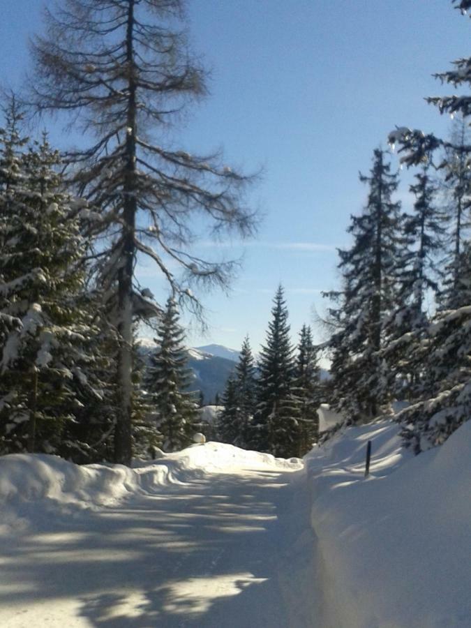 Ferienwohnung Vorstadt Gmünd Buitenkant foto